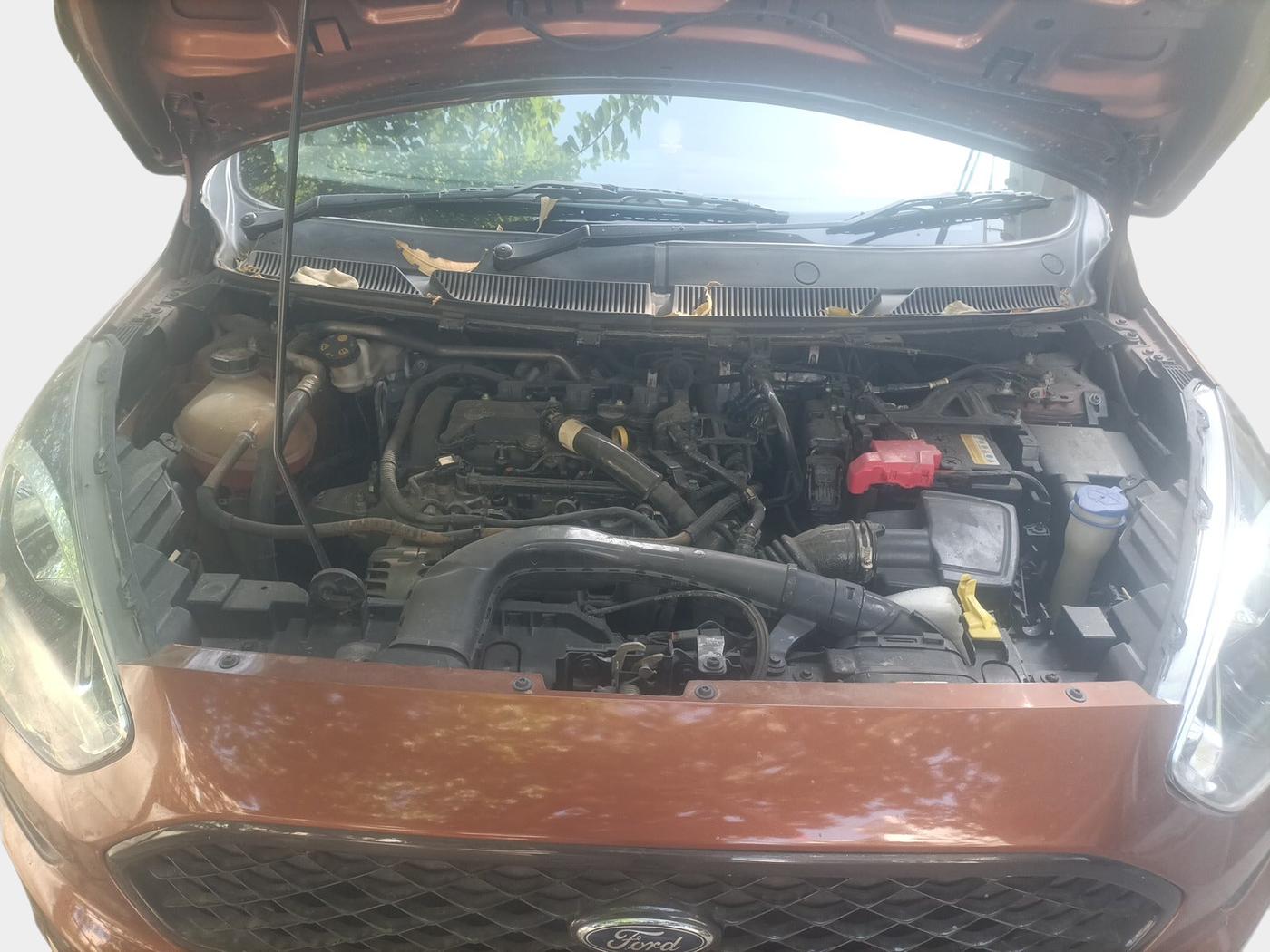 2021 Ford FREESTYLE TITANIUM PLUS 1.2 PETROL, Petrol, Manual, 65,383 km, exterior