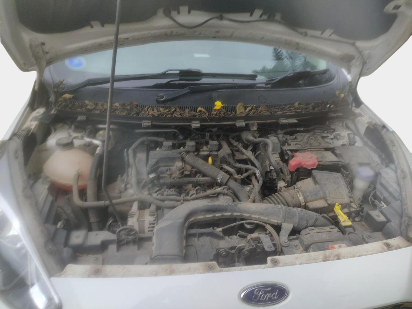 2019 Ford New Figo TITANIUM 1.5 PETROL AT, Petrol, Automatic, 10,747 km, exterior