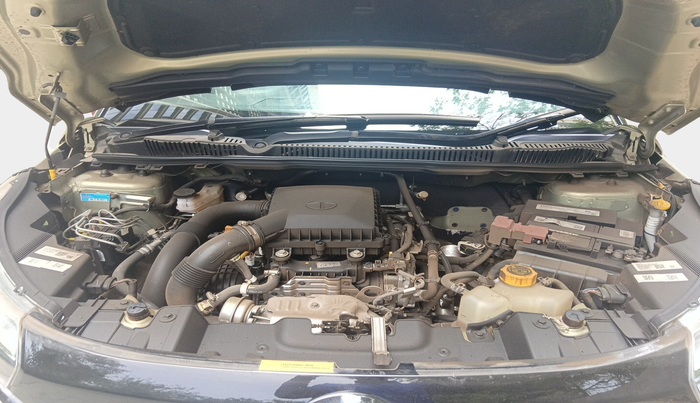 2023 Tata NEXON XZA PLUS LUX SUNROOF KAZIRANGA PETROL, Petrol, Automatic, 7,703 km, exterior