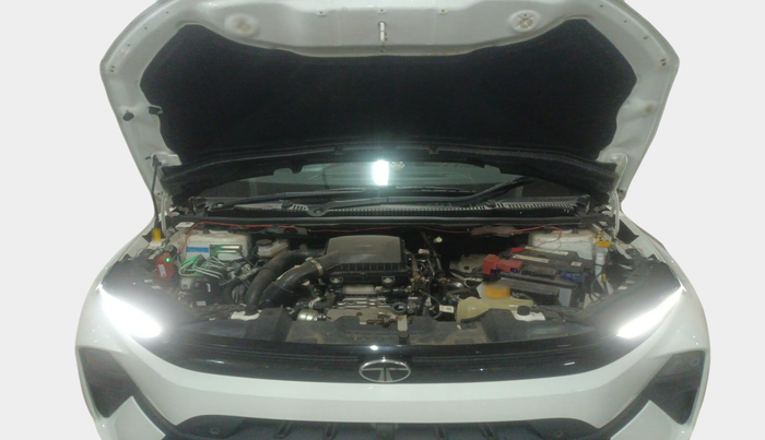 2024 Tata NEXON CREATIVE+ AMT 1.2 PETROL, Petrol, Automatic, 21,000 km, exterior