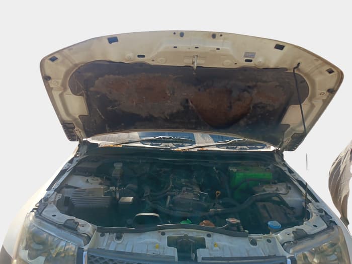 2011 Maruti Grand Vitara 2.4 MT, Petrol, Manual, 1,43,350 km, exterior