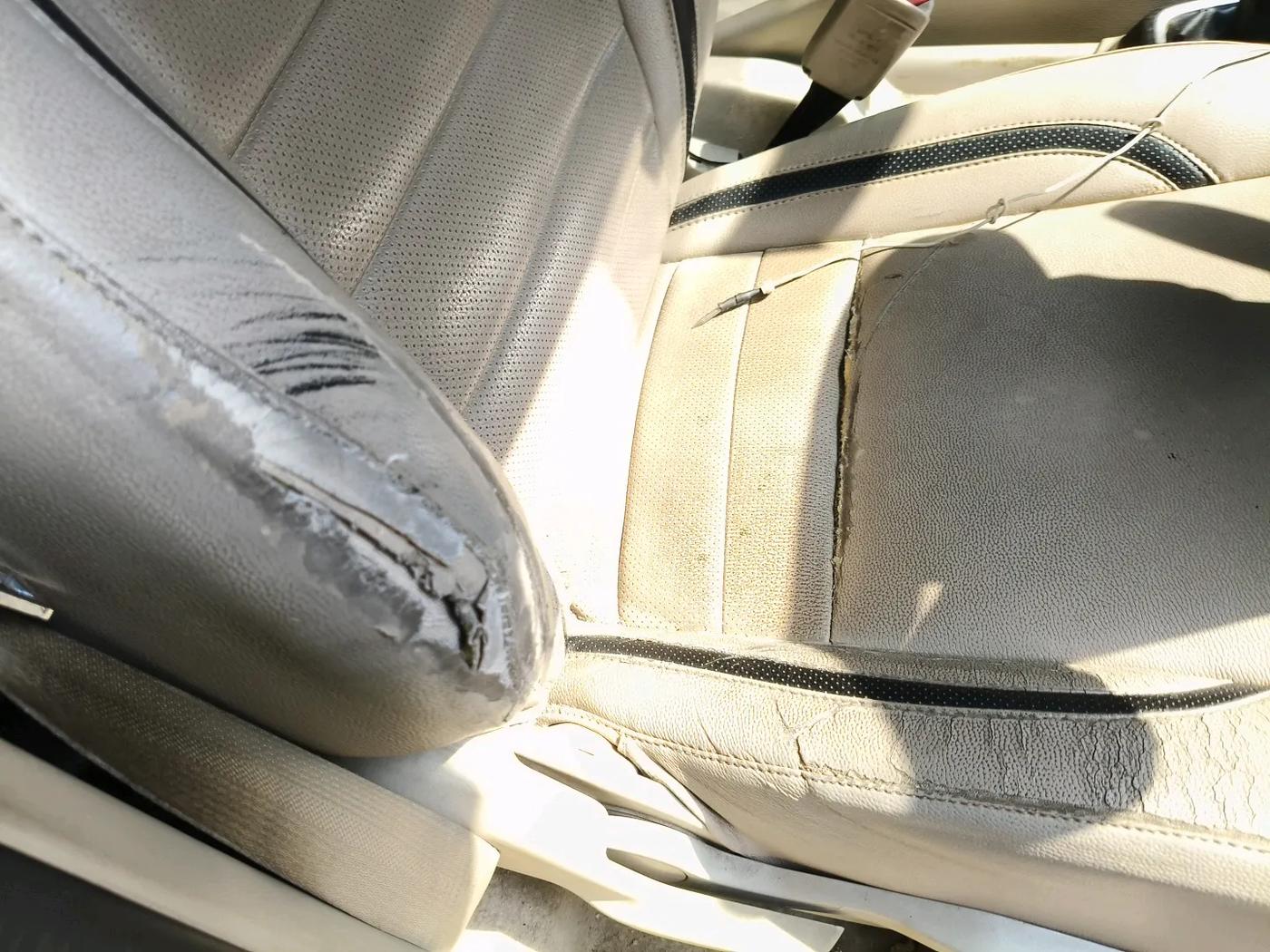 2019 Maruti Dzire VXI, Petrol, Manual, 77,599 km, interior