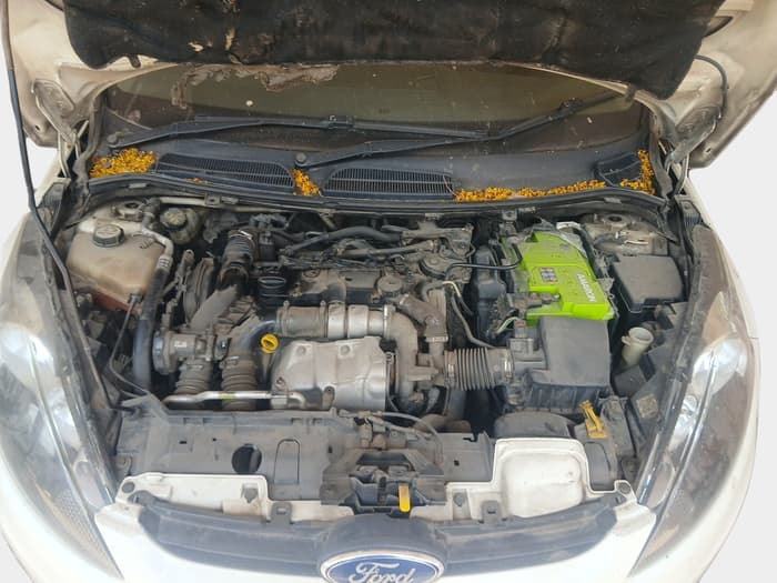 2013 Ford Fiesta TITANIUM+ DIESEL, Diesel, Manual, 1,11,856 km, exterior