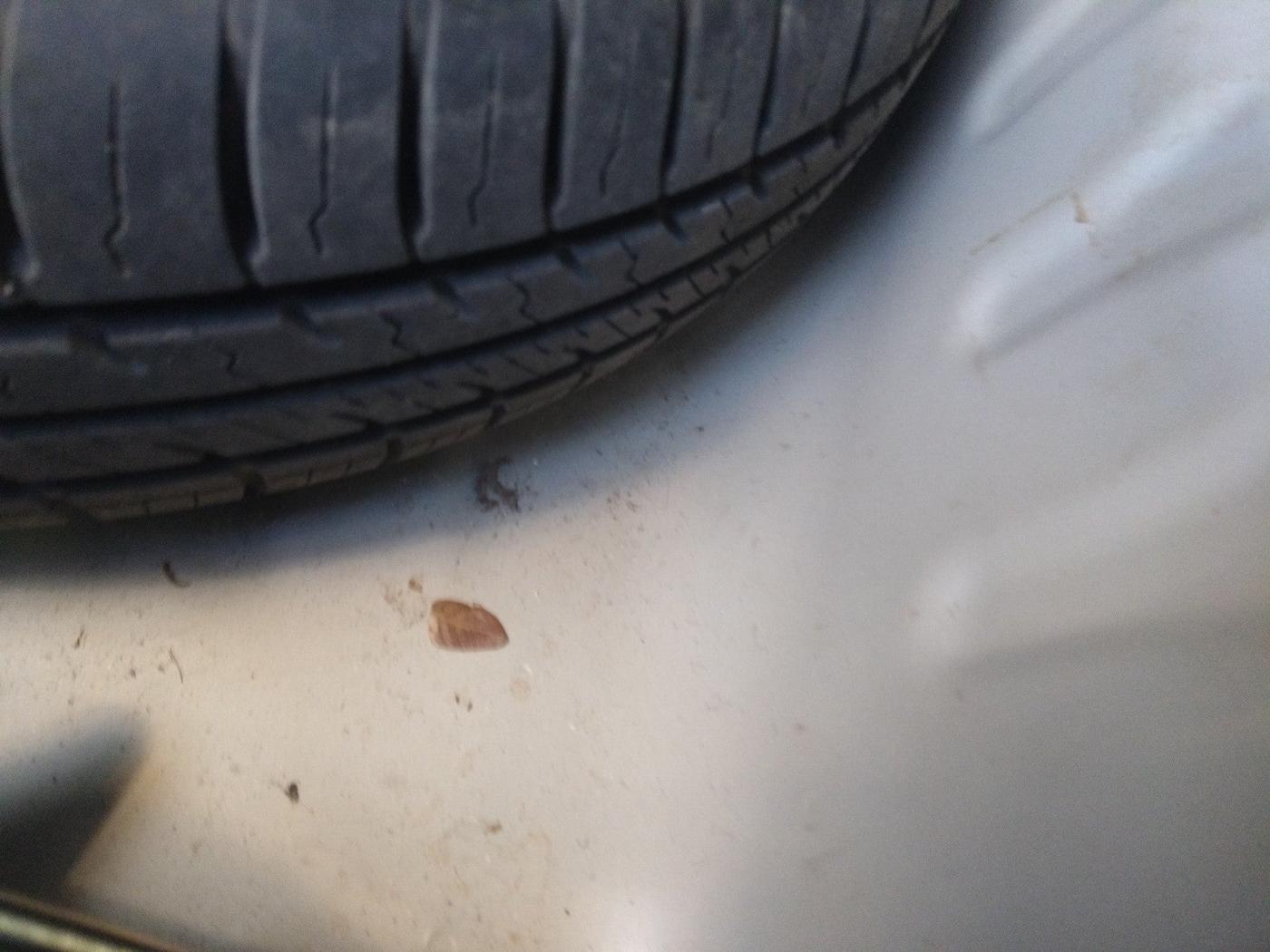 2019 Maruti Dzire VXI, Petrol, Manual, 8,330 km, tyre