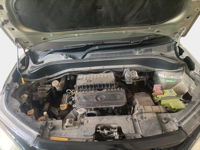 2022 Tata PUNCH CREATIVE 1.2 AMT KAZIRANGA EDITION , Petrol, Automatic, 77,247 km, exterior
