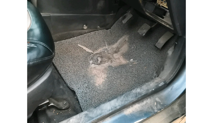 2016 Hyundai Grand i10 SPORTZ 1.2 KAPPA VTVT, Petrol, Manual, 2,51,081 km, interior