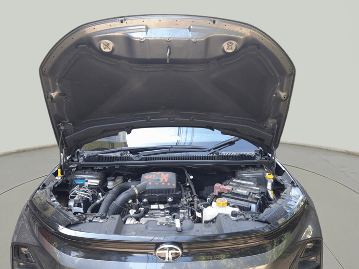 2024 Tata NEXON FEARLESS + S P MT, Petrol, Manual, 4,100 km, exterior