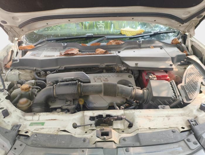 2021 Tata Safari XZ PLUS, Diesel, Manual, 1,23,356 km, exterior