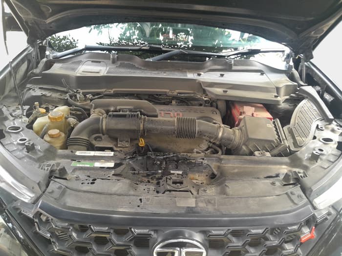 2022 Tata Safari XZ PLUS DARK EDITION, Diesel, Manual, 99,033 km, exterior