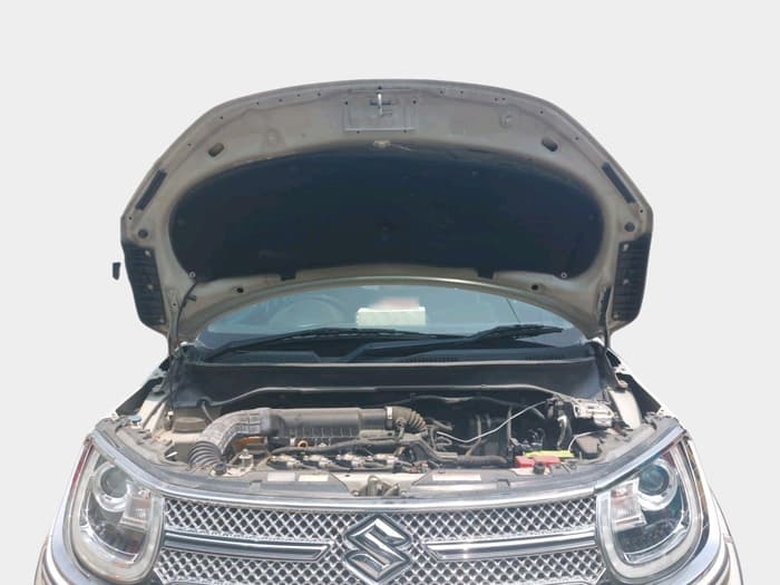 2018 Maruti IGNIS ALPHA 1.2, Petrol, Manual, 36,276 km, exterior