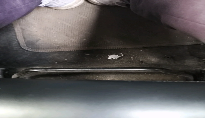 2015 Maruti Wagon R 1.0 LXI, Petrol, Manual, 33,447 km, interior