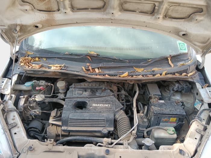 2010 Maruti Wagon R 1.0 LXI, Petrol, Manual, 2,01,101 km, exterior