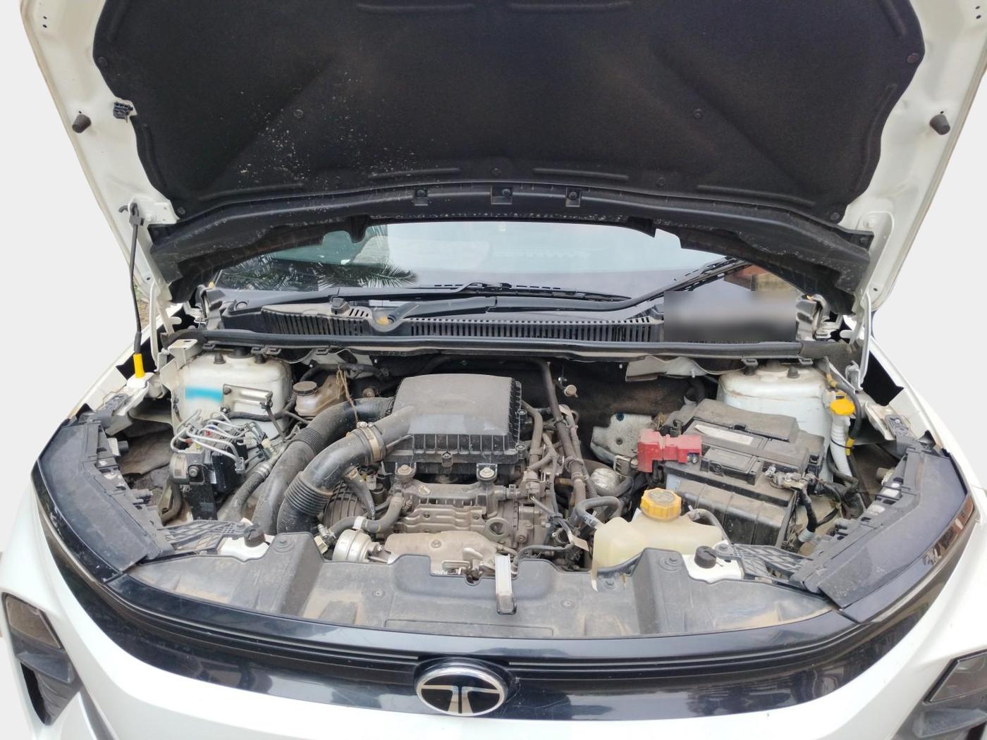 2024 Tata NEXON CREATIVE  AMT 1.2 PETROL, Petrol, Automatic, 19,000 km, exterior