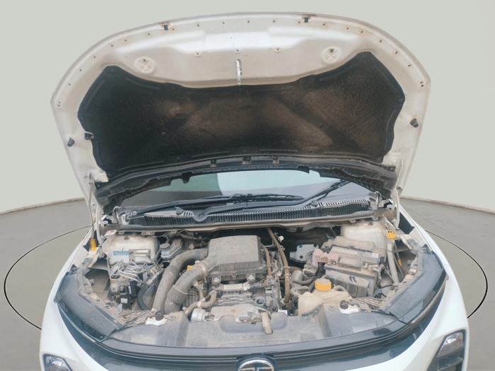 2024 Tata NEXON SMART PLUS S 1.2 REVOTRON, Petrol, Manual, 11,600 km, exterior