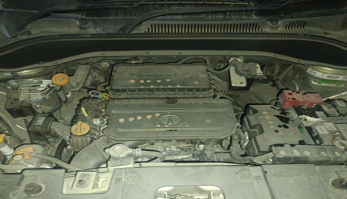 2022 Tata PUNCH CREATIVE 1.2 MT KAZIRANGA EDITION , Petrol, Manual, 26,429 km, exterior