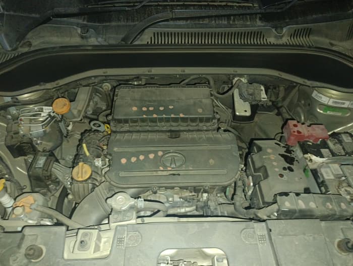 2022 Tata PUNCH CREATIVE 1.2 MT KAZIRANGA EDITION , Petrol, Manual, 26,429 km, exterior