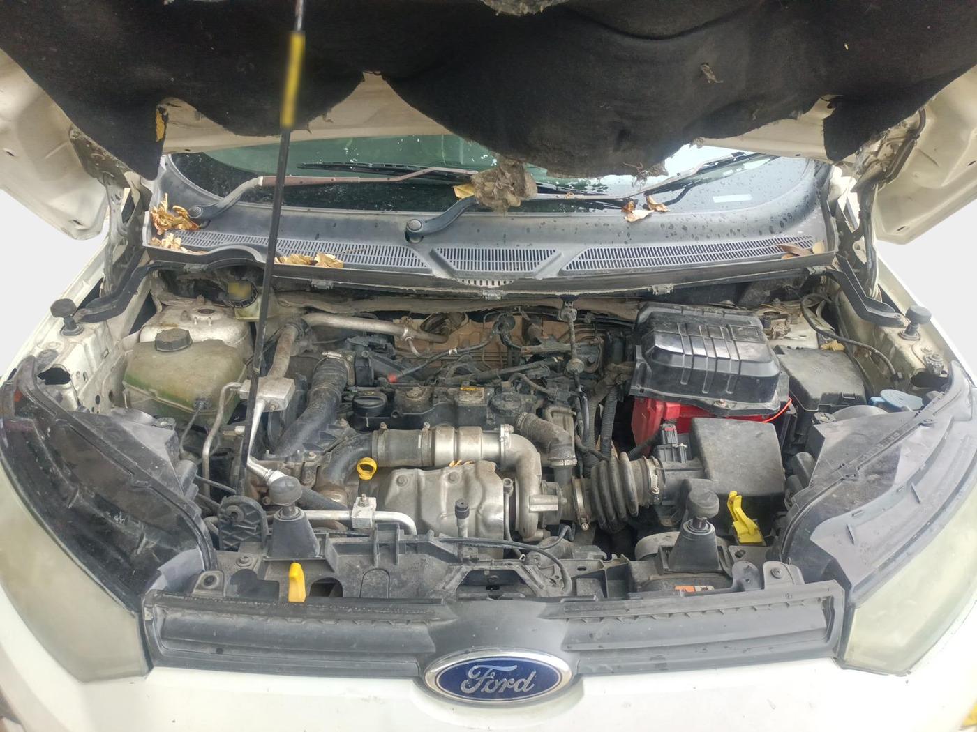 2013 Ford Ecosport TREND 1.5L DIESEL, Diesel, Manual, 1,46,243 km, exterior