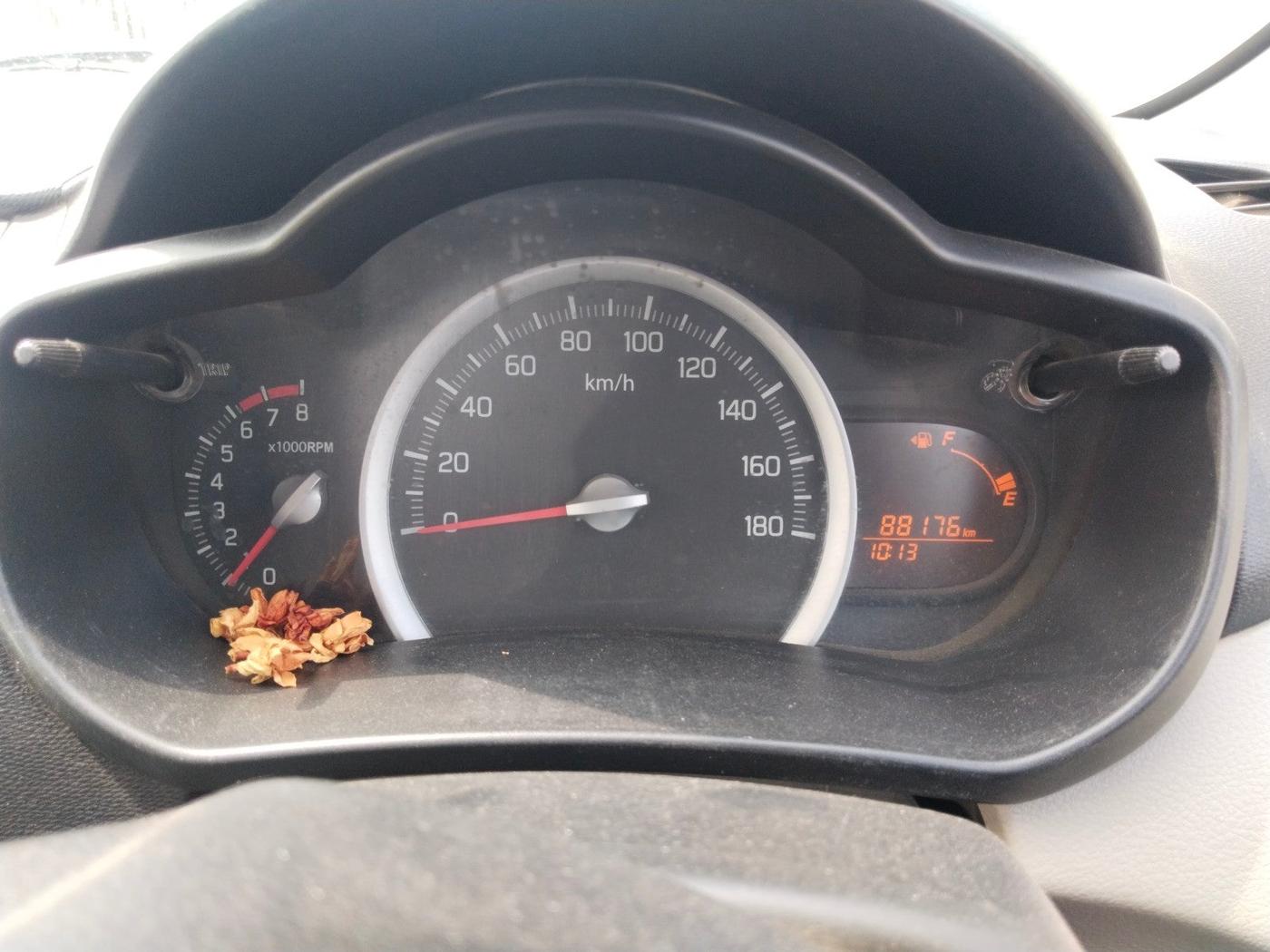 2015 Maruti Celerio ZXI, Petrol, Manual, 88,176 km, interior