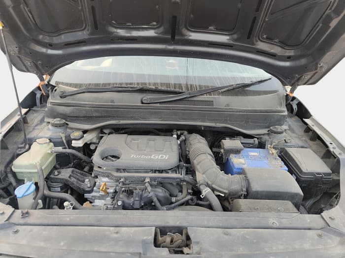 2019 Hyundai VENUE SX PLUS 1.0 TURBO DCT, Petrol, Automatic, 53,349 km, exterior