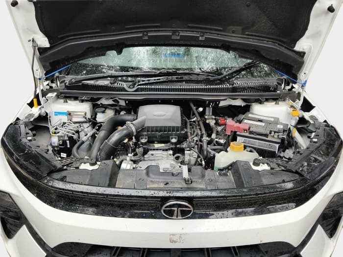 2025 Tata NEXON Pure Plus 1.2 iCNG 6MT, Petrol, Manual, 6,113 km, exterior