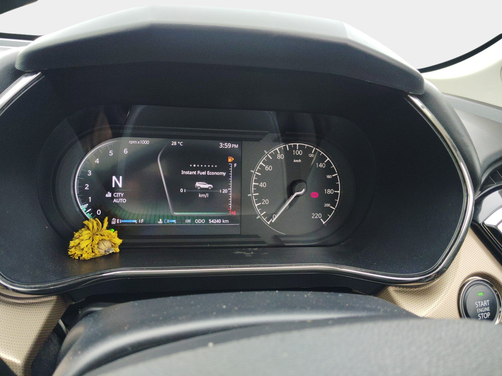 Interior