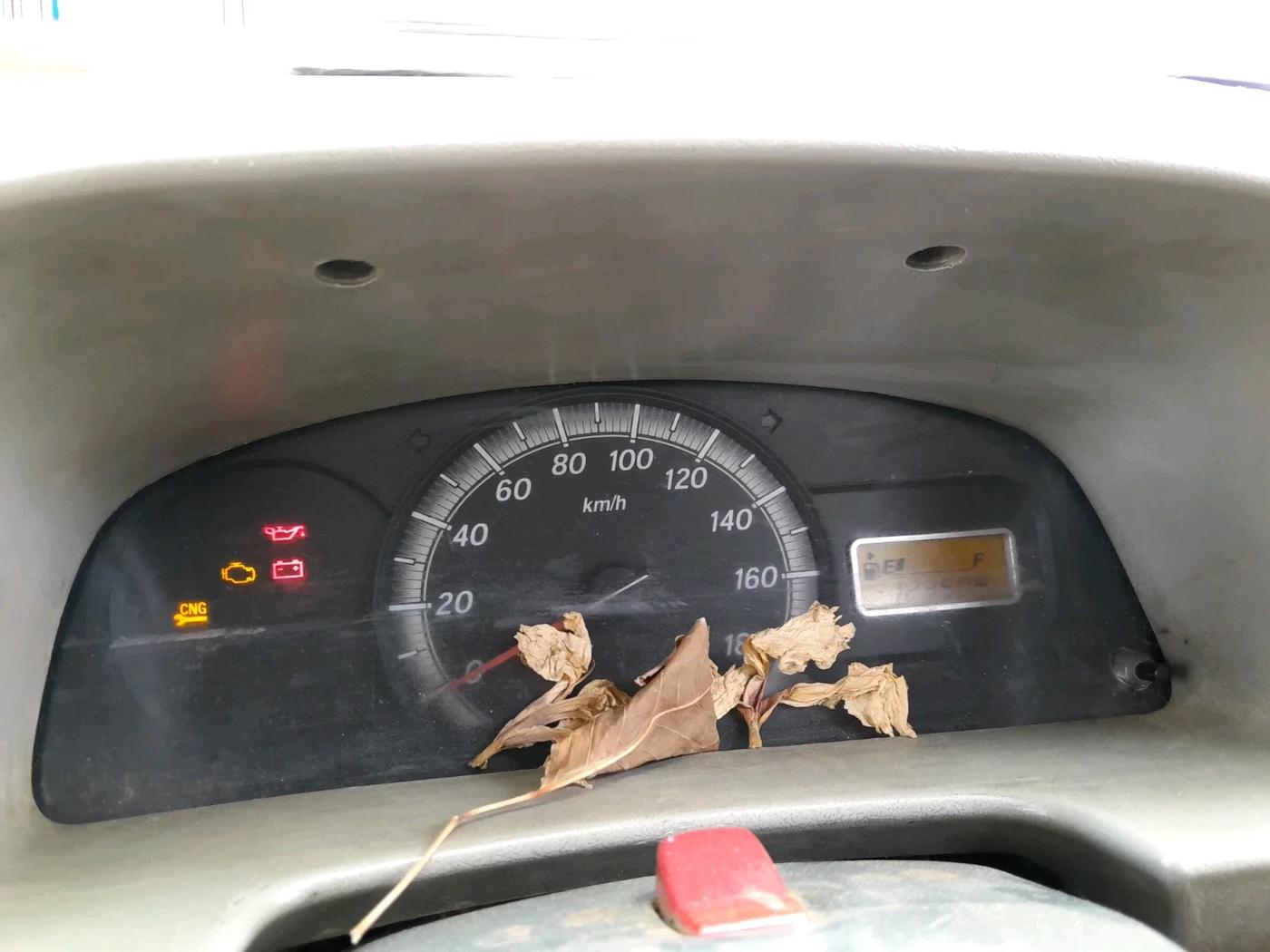 2012 Maruti Eeco 5 STR WITH A/C+HTR CNG, CNG, Manual, 1,23,505 km, interior