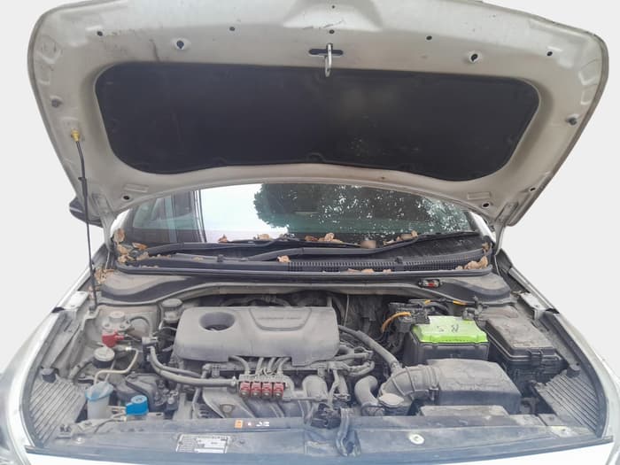 2019 Hyundai Verna 1.6 VTVT SX O, Petrol, Manual, 63,586 km, exterior