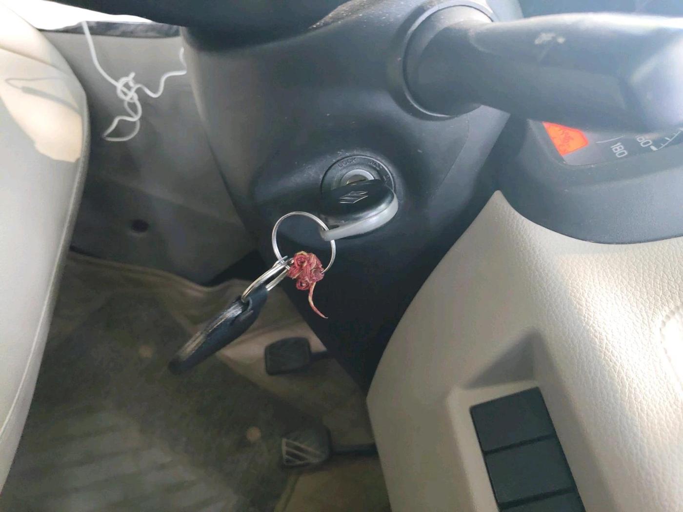 2021 Maruti New Wagon-R VXI 1.0, Petrol, Manual, 14,446 km, interior