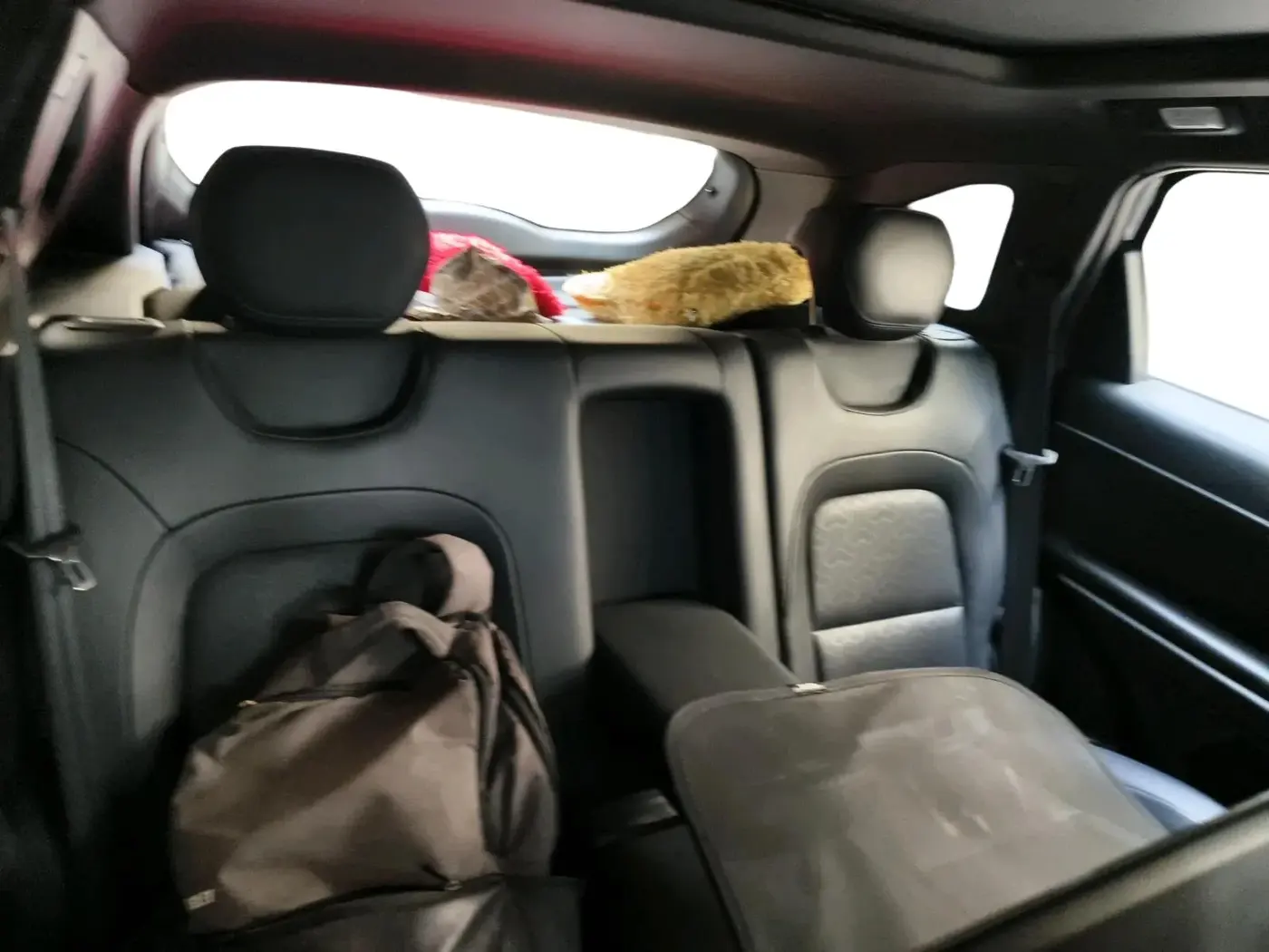 2023 Tata Harrier XZA PLUS O DARK EDITION, Diesel, Automatic, 58,295 km, interior