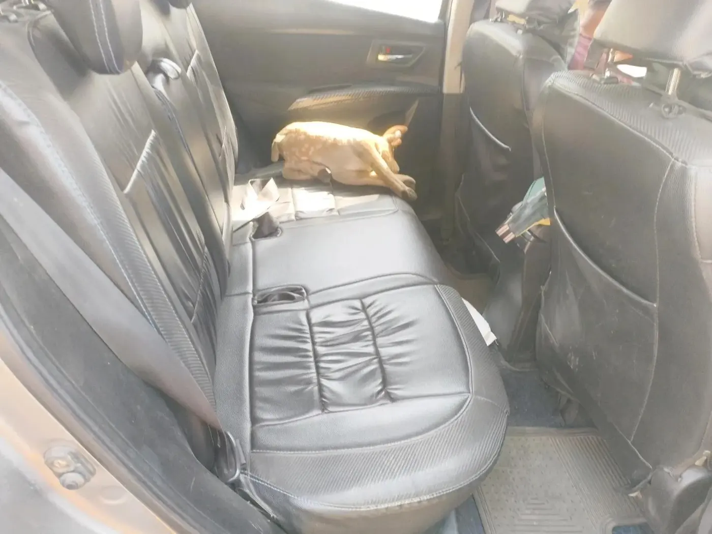 2016 Maruti S Cross ZETA 1.3, Diesel, Manual, 1,17,038 km, interior