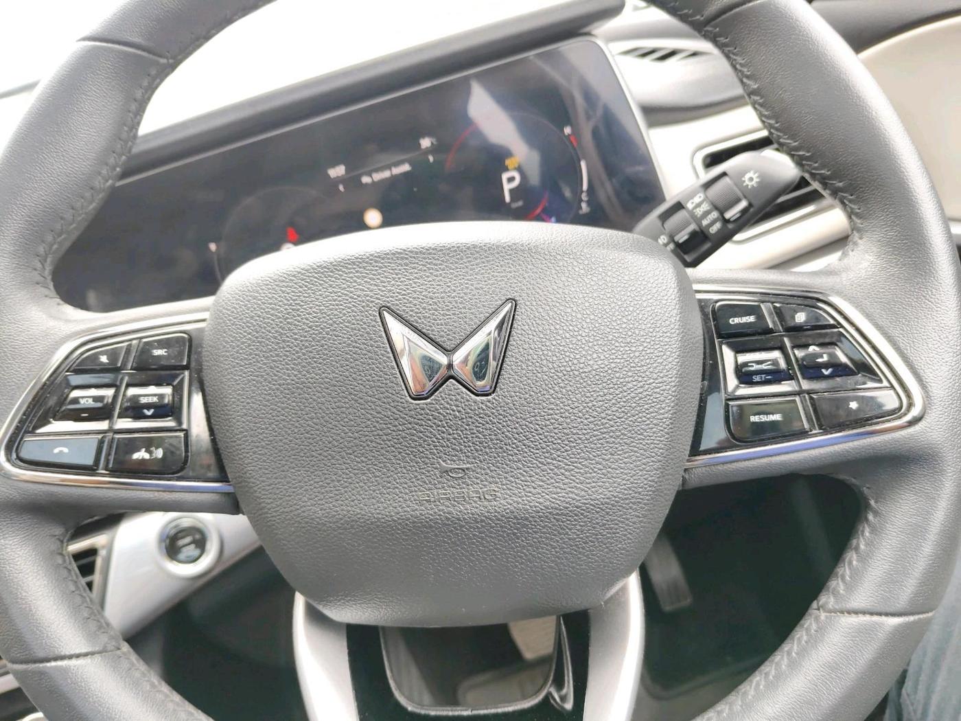 2025 Mahindra XUV700 AX 7 LUXURY D AT 7 STR, Diesel, Automatic, 26,233 km, interior