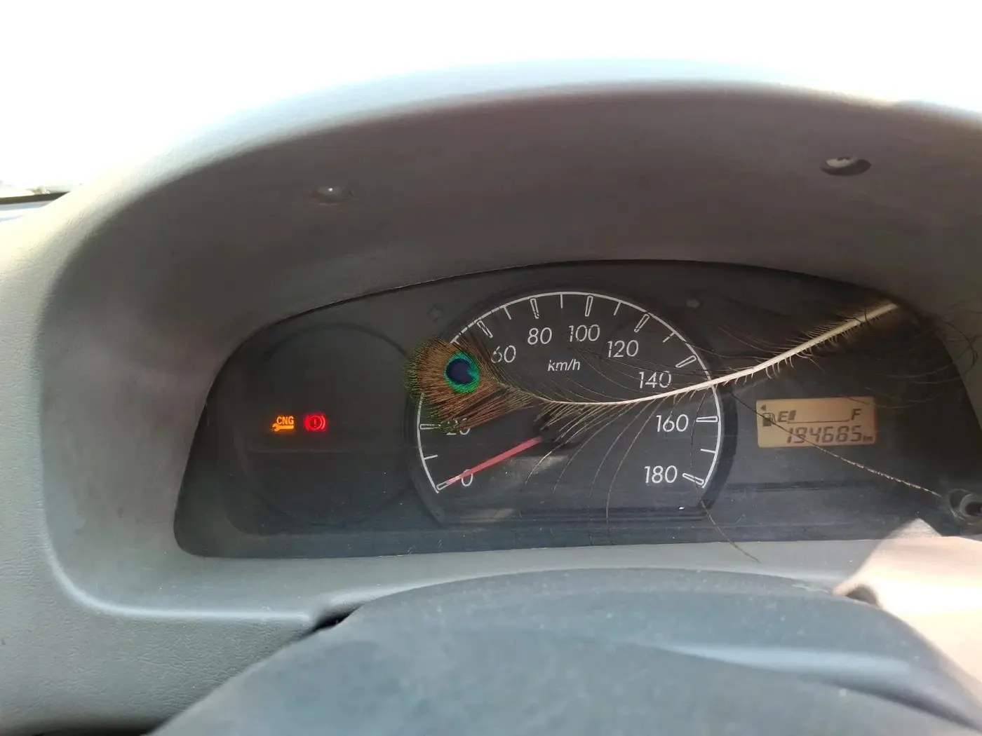 2011 Maruti Alto LXI CNG, CNG, Manual, 1,94,685 km, interior