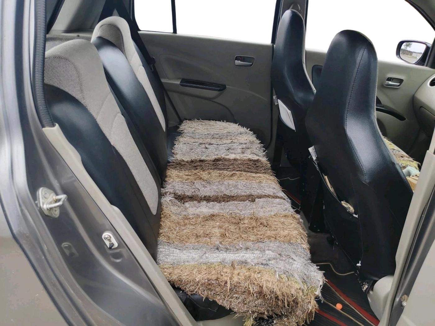 2014 Maruti Celerio VXI, CNG, Manual, 1,59,420 km, interior
