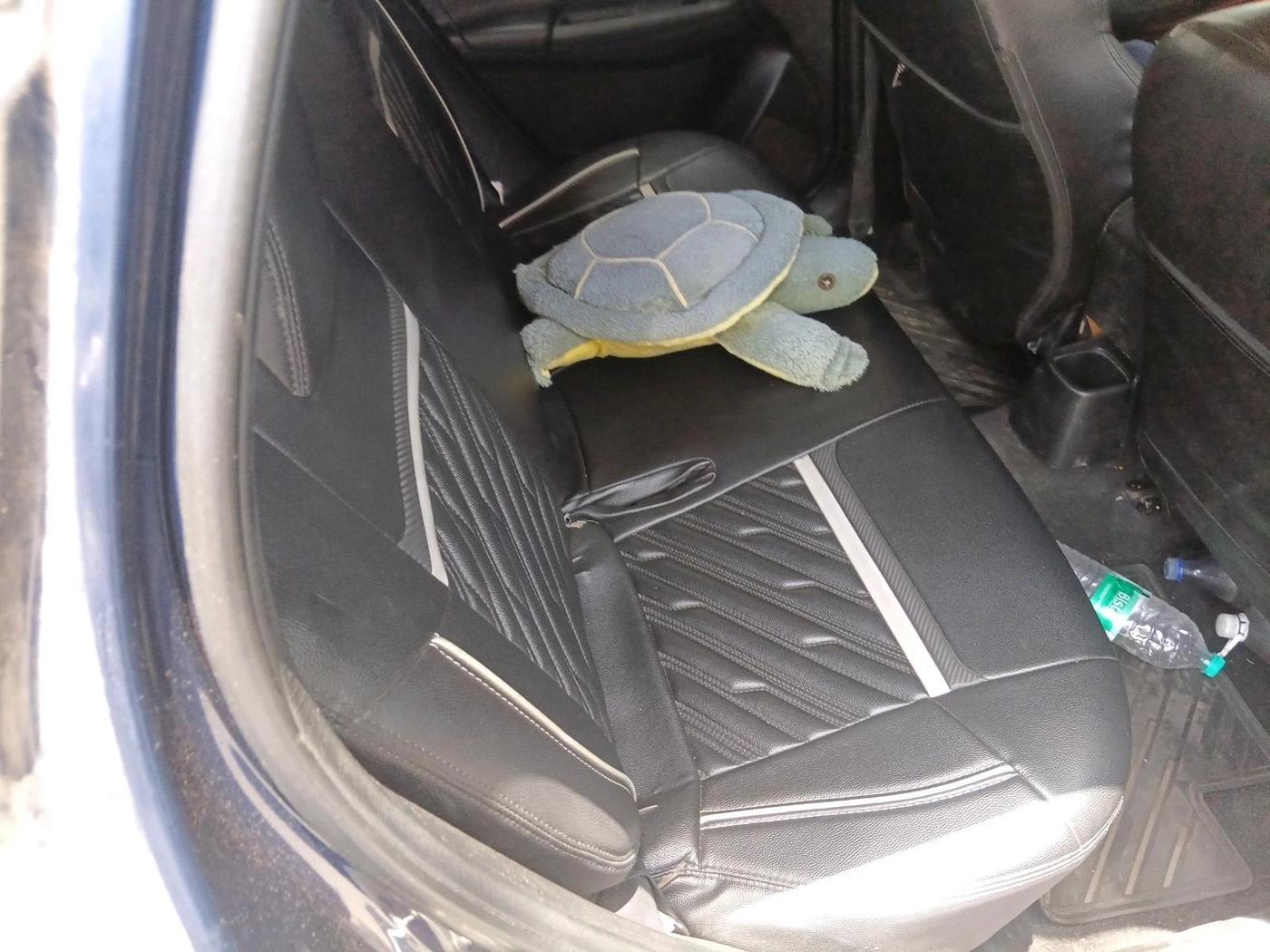 2019 Maruti Swift VXI AMT, CNG, Automatic, 93,731 km, interior