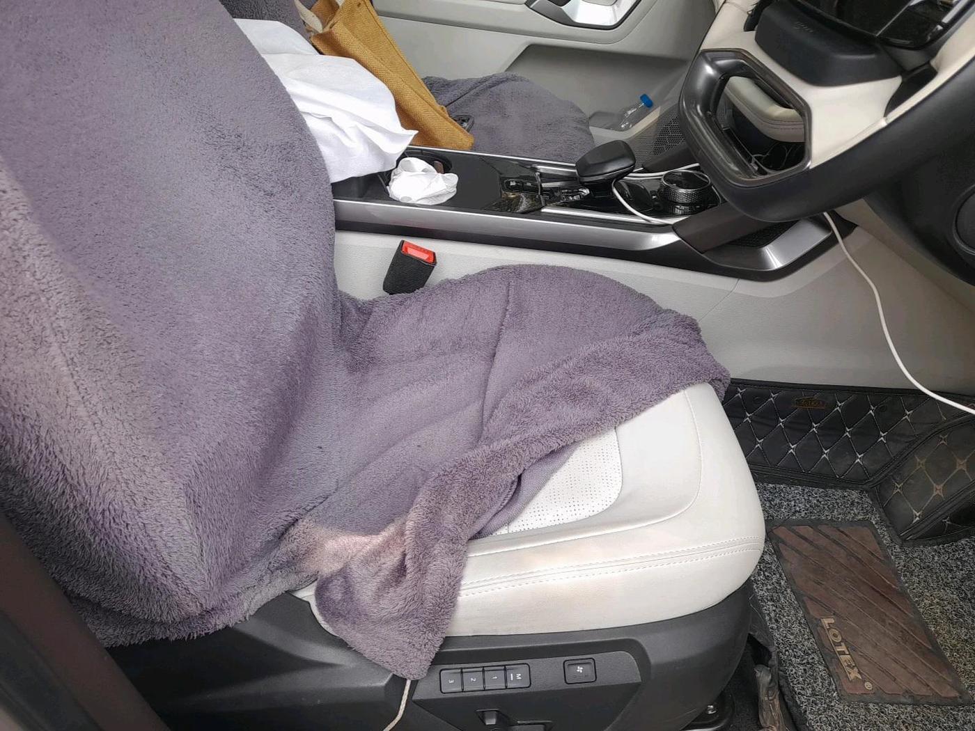 2024 Tata Safari ACCOMPLISHED PLUS DUAL TONE AT, Diesel, Automatic, 17,565 km, interior
