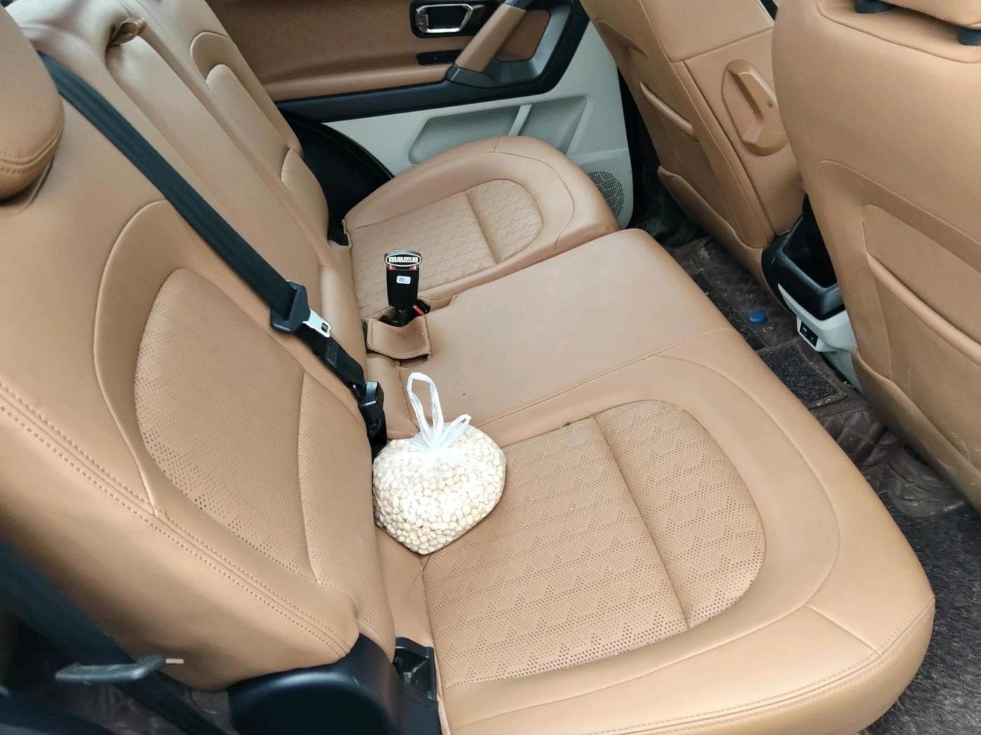 2025 Tata Safari ADVENTURE, Diesel, Manual, 17,035 km, interior